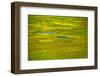 Aerial view of Katmai National Park, Alaska, USA-Jerry Ginsberg-Framed Photographic Print