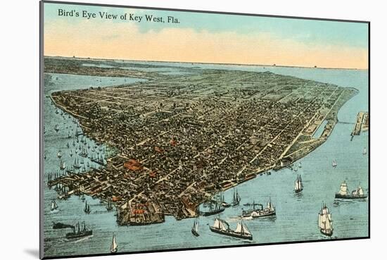 Aerial View of Key West, Florida-null-Mounted Art Print