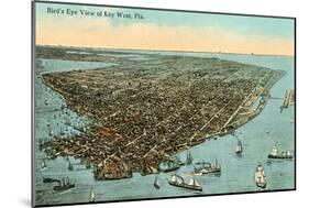 Aerial View of Key West, Florida-null-Mounted Art Print