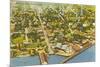 Aerial View of Key West, Florida-null-Mounted Premium Giclee Print