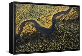 Aerial View of Kitkajoki River, Oulanka National Park, Finland, September 2008-Widstrand-Framed Stretched Canvas