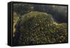 Aerial View of Kitkajoki River, Oulanka National Park, Finland, September 2008-Widstrand-Framed Stretched Canvas