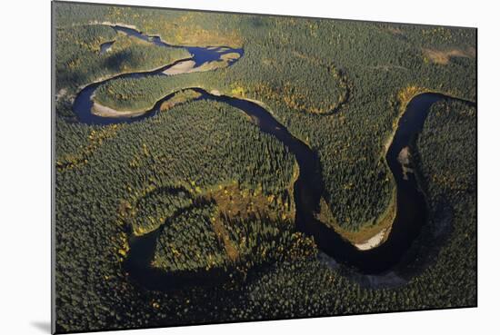 Aerial View of Kitkajoki River, Oulanka National Park, Finland, September 2008-Widstrand-Mounted Photographic Print