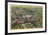 Aerial View of Kodak Park, Rochester, New York-null-Framed Premium Giclee Print