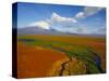 Aerial View of Kronotskaya River in September, Kronotsky Zapovednik Reserve, Russia-Igor Shpilenok-Stretched Canvas