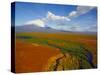 Aerial View of Kronotskaya River in September, Kronotsky Zapovednik Reserve, Russia-Igor Shpilenok-Stretched Canvas