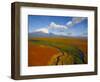 Aerial View of Kronotskaya River in September, Kronotsky Zapovednik Reserve, Russia-Igor Shpilenok-Framed Premium Photographic Print