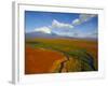 Aerial View of Kronotskaya River in September, Kronotsky Zapovednik Reserve, Russia-Igor Shpilenok-Framed Photographic Print