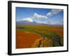 Aerial View of Kronotskaya River in September, Kronotsky Zapovednik Reserve, Russia-Igor Shpilenok-Framed Photographic Print