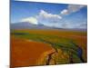 Aerial View of Kronotskaya River in September, Kronotsky Zapovednik Reserve, Russia-Igor Shpilenok-Mounted Photographic Print