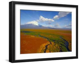 Aerial View of Kronotskaya River in September, Kronotsky Zapovednik Reserve, Russia-Igor Shpilenok-Framed Photographic Print