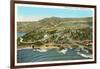 Aerial View of La Jolla, California-null-Framed Art Print