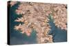 Aerial View of Lake Mead from Above, Usa, Nevada-Romrodphoto-Stretched Canvas