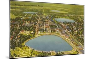 Aerial View of Lakeland, Florida-null-Mounted Art Print