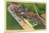 Aerial View of Lambert Air Field - St. Louis, MO-Lantern Press-Mounted Premium Giclee Print
