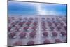 Aerial view of large group of tidy beach umbrellas facing the Mediterranean Sea, Italy, Europe-Paolo Graziosi-Mounted Photographic Print