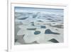 Aerial View of Lencois Maranhenses National Park in Maranhao State, Brazil-Alex Saberi-Framed Photographic Print