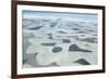 Aerial View of Lencois Maranhenses National Park in Maranhao State, Brazil-Alex Saberi-Framed Photographic Print