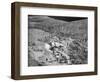 Aerial View of Lindbergh Home-Bettmann-Framed Photographic Print