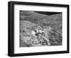 Aerial View of Lindbergh Home-Bettmann-Framed Photographic Print