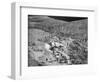 Aerial View of Lindbergh Home-Bettmann-Framed Photographic Print