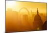 Aerial view of London skyline at sunset, including London Eye and St. Paul's Cathedral, London-Ed Hasler-Mounted Photographic Print