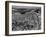 Aerial View of Los Alamos in 1955-null-Framed Photographic Print
