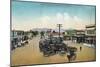 Aerial View of Lower Main Street - Petaluma, CA-Lantern Press-Mounted Art Print