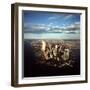 Aerial View of Lower Manhattan Skyline with Nearly Completed World Trade Center Towers-Henry Groskinsky-Framed Photographic Print