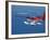 Aerial View of Maldivian Air Taxi Flying in the Maldives Archipelago, Indian Ocean-Papadopoulos Sakis-Framed Photographic Print