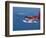 Aerial View of Maldivian Air Taxi Flying in the Maldives Archipelago, Indian Ocean-Papadopoulos Sakis-Framed Photographic Print