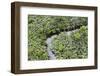 Aerial view of mangrove forest, Republic of Congo-Eric Baccega-Framed Premium Photographic Print