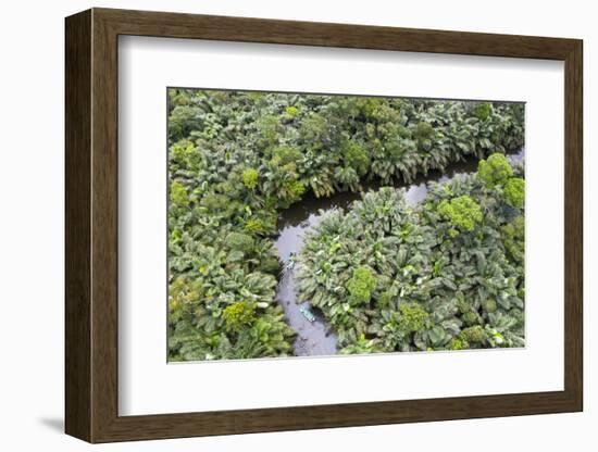 Aerial view of mangrove forest, Republic of Congo-Eric Baccega-Framed Photographic Print