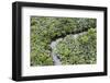 Aerial view of mangrove forest, Republic of Congo-Eric Baccega-Framed Photographic Print