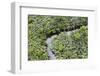 Aerial view of mangrove forest, Republic of Congo-Eric Baccega-Framed Photographic Print