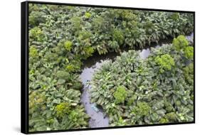 Aerial view of mangrove forest, Republic of Congo-Eric Baccega-Framed Stretched Canvas