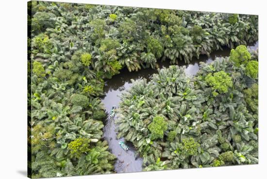 Aerial view of mangrove forest, Republic of Congo-Eric Baccega-Stretched Canvas