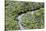 Aerial view of mangrove forest, Republic of Congo-Eric Baccega-Stretched Canvas