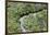 Aerial view of mangrove forest, Republic of Congo-Eric Baccega-Framed Photographic Print