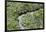 Aerial view of mangrove forest, Republic of Congo-Eric Baccega-Framed Photographic Print