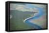 Aerial View of Marine Forest and River-Wollwerth Imagery-Framed Stretched Canvas