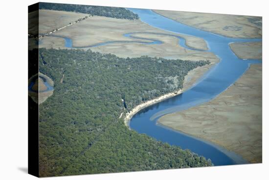 Aerial View of Marine Forest and River-Wollwerth Imagery-Stretched Canvas