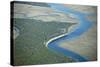 Aerial View of Marine Forest and River-Wollwerth Imagery-Stretched Canvas
