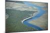 Aerial View of Marine Forest and River-Wollwerth Imagery-Mounted Photographic Print