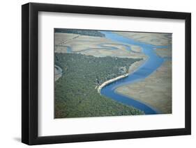 Aerial View of Marine Forest and River-Wollwerth Imagery-Framed Photographic Print