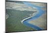 Aerial View of Marine Forest and River-Wollwerth Imagery-Mounted Photographic Print