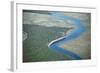 Aerial View of Marine Forest and River-Wollwerth Imagery-Framed Photographic Print