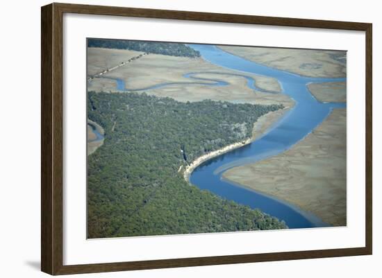 Aerial View of Marine Forest and River-Wollwerth Imagery-Framed Photographic Print