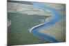 Aerial View of Marine Forest and River-Wollwerth Imagery-Mounted Photographic Print