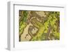 Aerial View of Marshes at Low Tide, Bahía De Cádiz Natural Park, Cádiz, Andalusia, Spain-López-Framed Photographic Print